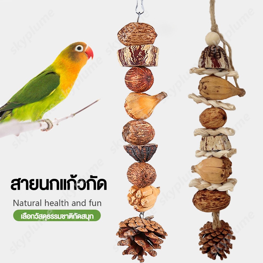 ผลไม้มะฮอกกานีหั่นเป็นชิ้น ลูกจันทน์เทศ เปลือกข้าวโพด ลูกสน สับปะรดป่า ของเล่นขัดฟันนกแก้ว ของเล่นนก