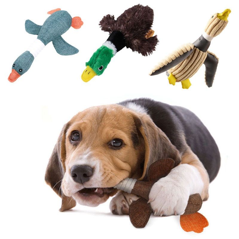 ฟันกรามทําความสะอาดสุนัขขนาดเล็กสุนัขของเล่นตุ๊กตาเสียงเท็ดดี้ปอมเมอเรเนียนบิชอนระบายเครื่องมือที่มี