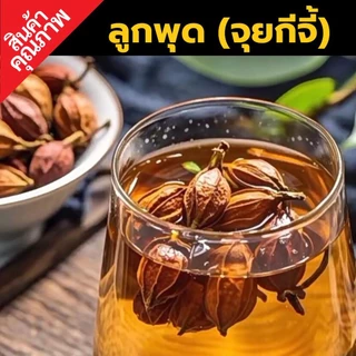 เม็ดพุด จุยกีจี้ เม็ดสีเก็กฮวย | Gardenia Fruit | SuperSpice