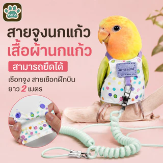 สายจูงนกแก้ว เสื้อผ้านกแก้ว สามารถยืดได้ เชือกจูง สายเชือกฝึกบิน ยาว 2เมตร🦜