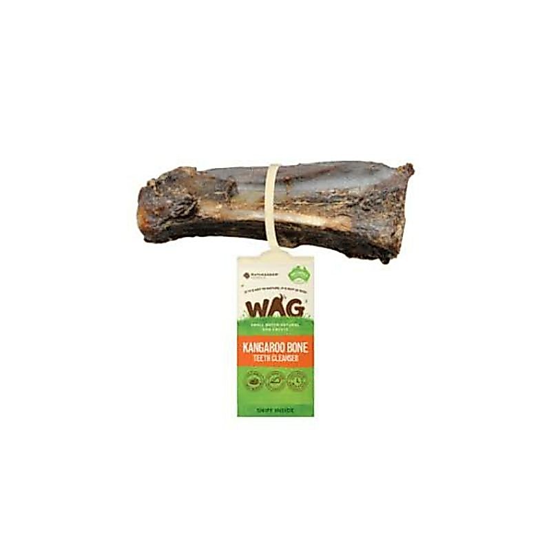 🦘กระดูกแขนจิงโจ้ Kangaroo Arm Bone