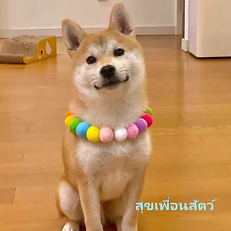 STOCK ปลอกคอสัตว์เลี้ยงรุ้ง สำหรับแมวและสุนัข ปลอกคอขนปุยสีสันสดใส ลูกบอลน่ารัก