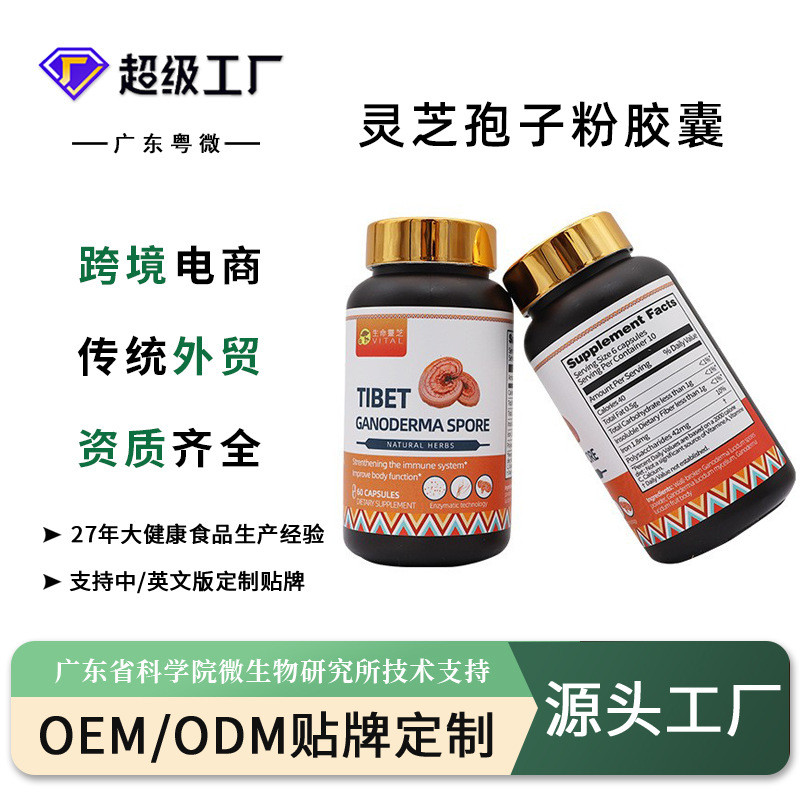Ganoderma Lucidum Spore Powder แคปซูลทิเบตเห็ดหลินจือ Lucidum Scre Powder แคปซูล Xizang ทิเบต Xuezhi