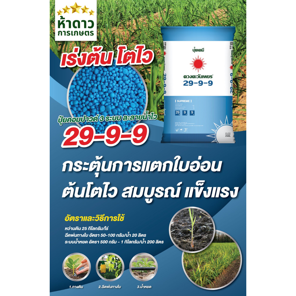 ปุ๋ย29-9-9 ดวงตะวันเพชร เกรดละลายน้ำ100% บำรุงต้น แตกยอด แตกใบ ใบใหญ่ เขียวนาน โตไว รากเดินดี 25กก.