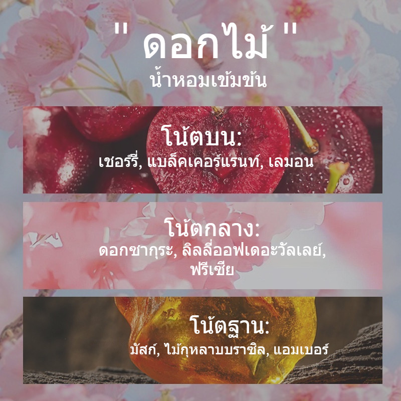 หอมผู้หญิง GAVARRY กลิ่นซากุระอ่อนๆ 50ml น้ำหอมติดทนนาน 1 วัน พร้อมแถมตัวอย่างฟรี ของขวัญวันวาเลนไทน์