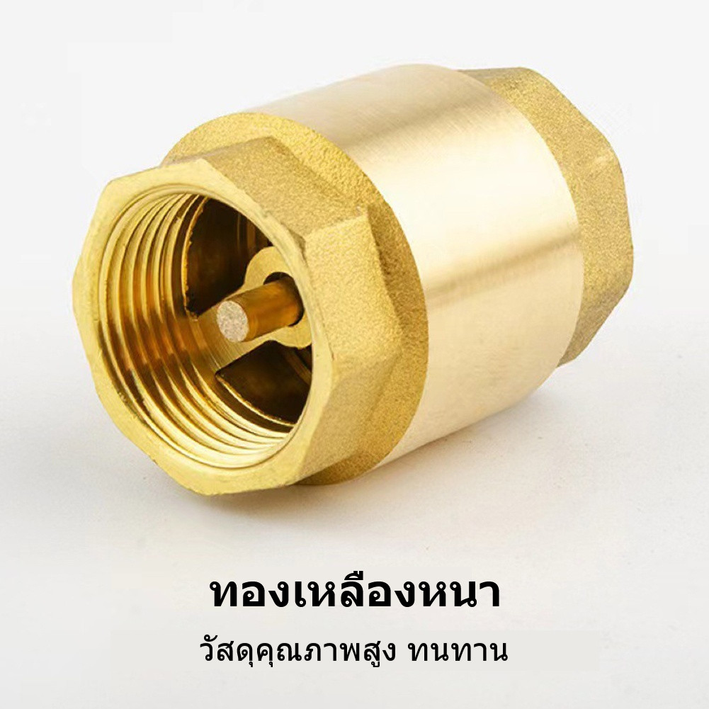 เช็ควาล์วทองเหลืองสปริง 1/2" 3/4" 1" เกลียวแนวตั้ง/แนวนอน ป้องกันการไหลย้อน ทนแรงดันสูง