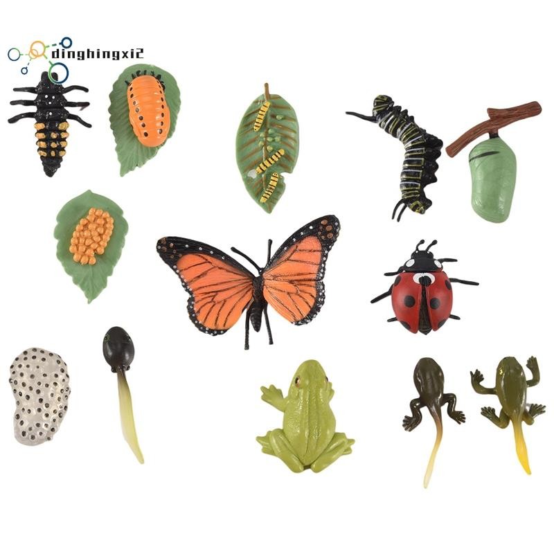 3 ชุดแมลง Figurines Life Cycle of Butterfly Frog Ladybug Safariology Growth Cycle Model การศึกษาของเ