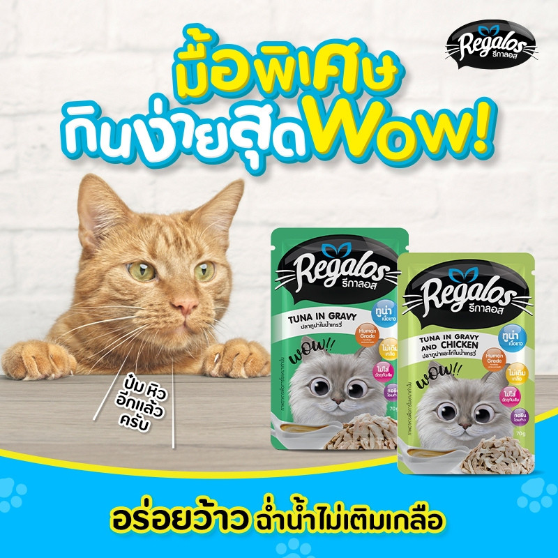 [12 ซอง] Regalos รีกาลอส อาหารแมวเปียก 70g คละได้ สำหรับแมวโตและลูกแมว - รูปที่ 2