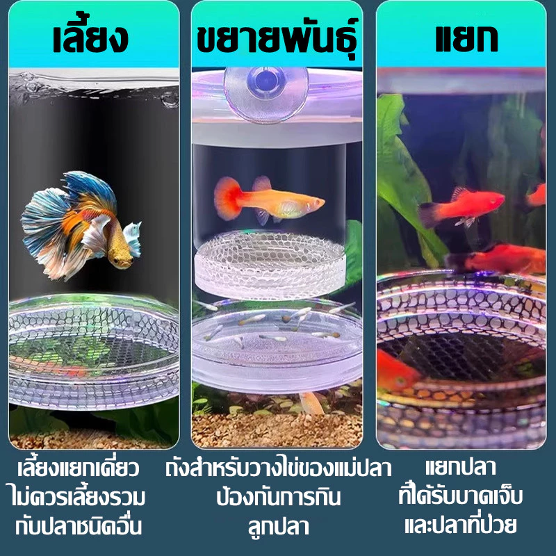 กล่องฟักไข่ปลาลอยได้ ตู้แยกปลาคลอดลูก แยกลูกกุ้ง ปลาป่วย thumbnail 4