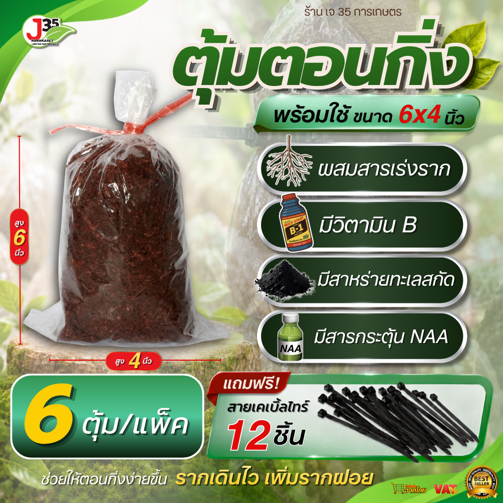 (6ตุ้ม) ตุ้มตอนกิ่ง 6X4 นิ้ว แถมเคเบิ้ลไทร์ 12 เส้น ถุงตอนกิ่ง ขุยมะพร้าวตอนกิ่ง แช่น้ำยาเร่งรากแล้ว รากพุ่ง รากติด