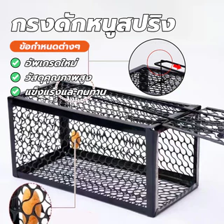 กับดักหนูสปริงคู่หนา กรงดักหนูพร้อมกรอบ กรงดักหนู นำกลับมาใช้ใหม่ได้ รับน้ำหนักได้ดี แรงกัดที่เพิ่มขึ้น ปิดเร็ว
