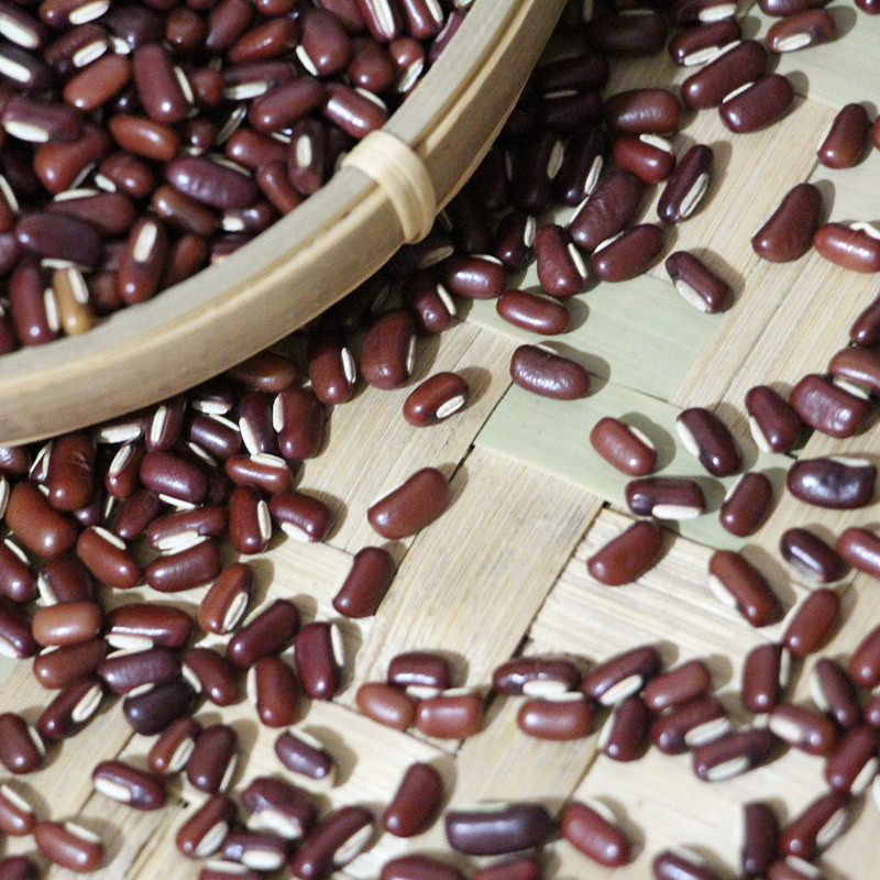 ฟาร์มกุ้ยโจว Red Adzuki Beans พันธุ์เก่ายาวเมล็ดสีแดง Adzuki ถั่วถั่วแดงข้าวบาร์เลย์สีแดง Adzuki Bea