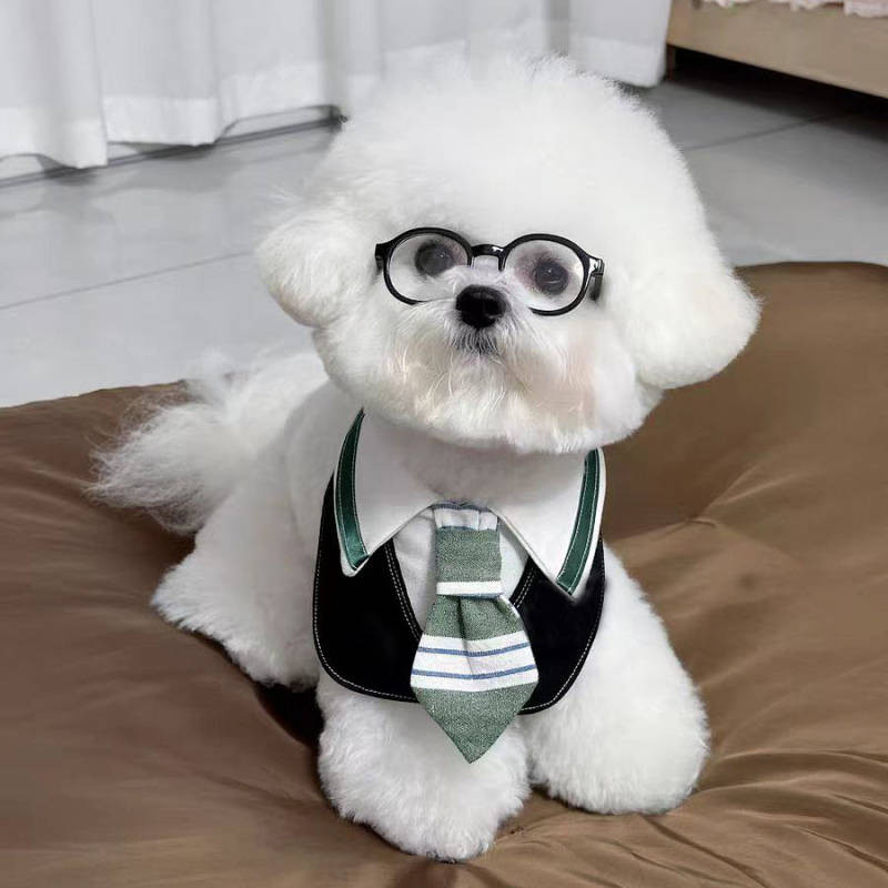 Pet's Saliva Towel Slytherin Snake Academy College Style Cat Scarf Decorative Dog Saliva Towel Large