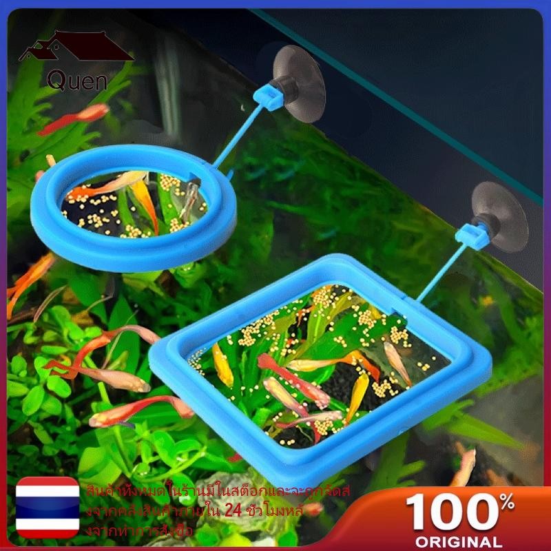 Quyn 2 แพ็คถังปลา Feeders Aquariums แหวนทุ่นปลา Feeding Circles สําหรับการตั้งค่าพิพิธภัณฑ์สัตว์น้ํา