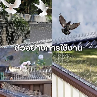 หนามกันนก ไล่นกพิราบ 50cm*10pcs ที่ดักนก หนาม กันนกพิราบ กันนกเกาะ อุปกรณ์ไล่นกทำรัง ทนทาน
