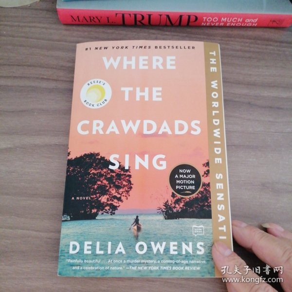 ฟาง ฟางWhere the Crawdads Sing   ต้นฉบับภาษาอังกฤษ