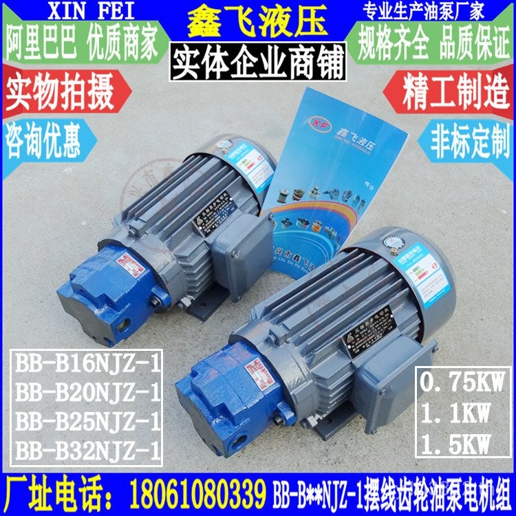 ประกอบ B25NJZ Swing B32NJZ เพลาด้านใน B20NJZ มอเตอร์ BB-B16NJZ-1 เกียร์ประเภทปั๊มน้ํามัน ES7J