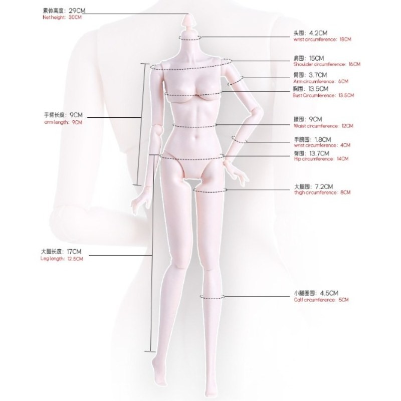29 ซม.1/6 ตุ๊กตา Body อุปกรณ์เสริมแบนเท้าเปลี่ยนขา Fit Supermodel ตุ๊กตาสีขาว/ปกติ/ Tan Skin Diy Dress Up ของเล่น ราคา ถูกที่สุด ดีลบีเคเค แกลเลอรีภาพที่ 2