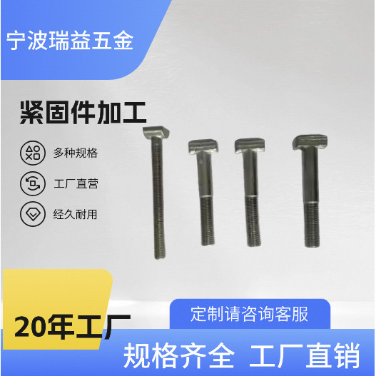 304 สแตนเลสสตีลสกรู T-สําหรับอุตสาหกรรมก่อสร้างอุปกรณ์เสริม Slot Bolts T-Head สี่เหลี่ยมผืนผ้าหัวควา