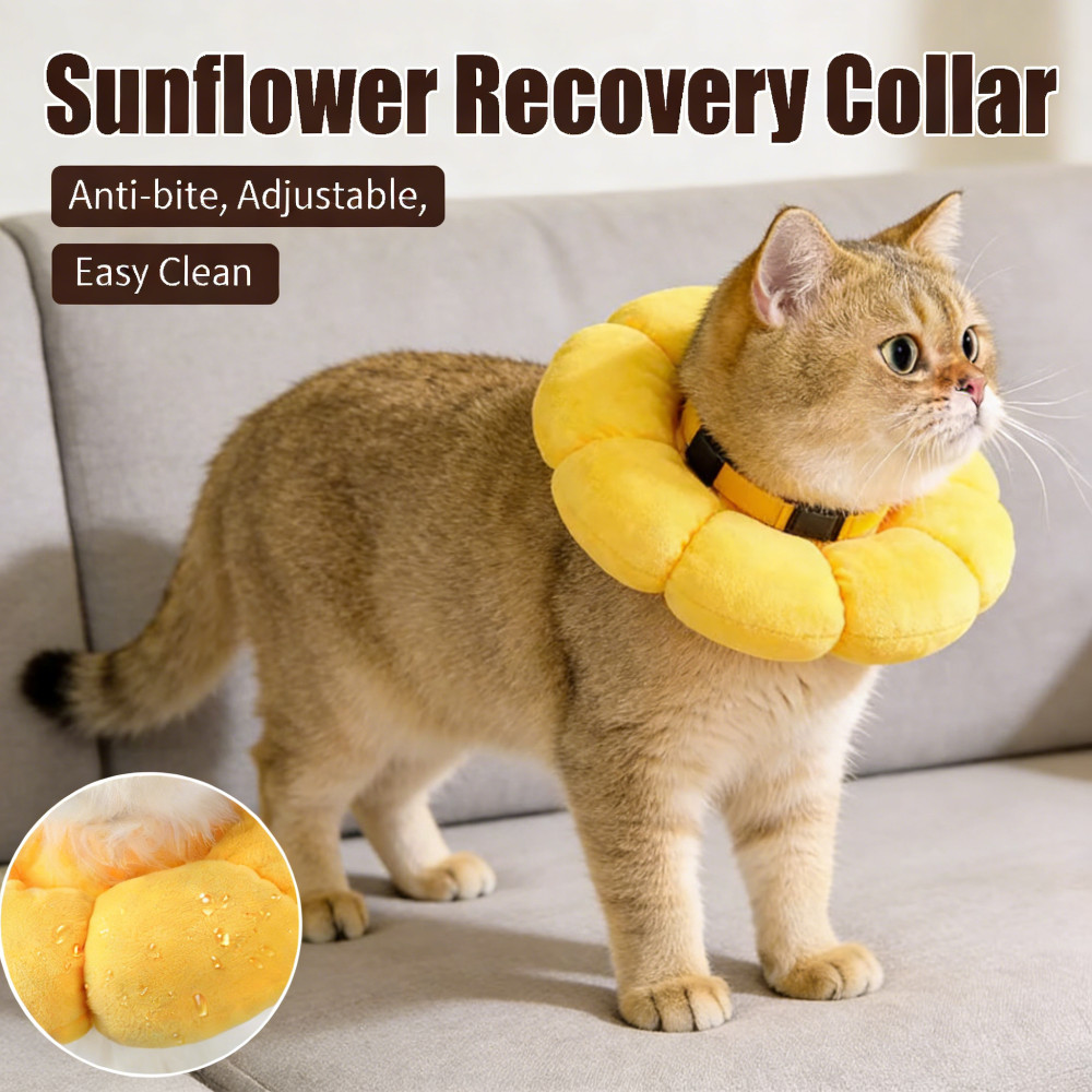 Cones Dog Pet Cat E-Collar Recovery Sunflower หลังจาก Elizabeth Collar Pet