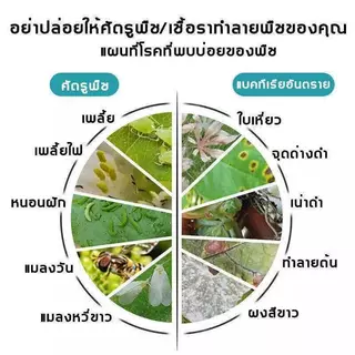 ยาฆ่าแมลงพืช 500 มล. ยาฆ่าหนอน ยาฆ่าเพลี้ย ยาฆ่าแมลงกินใบ สำหรับพืชผัก ไม้ดอก ไม้ผล ใช้งานง่าย ออกฤทธิ์รวดเร็ว