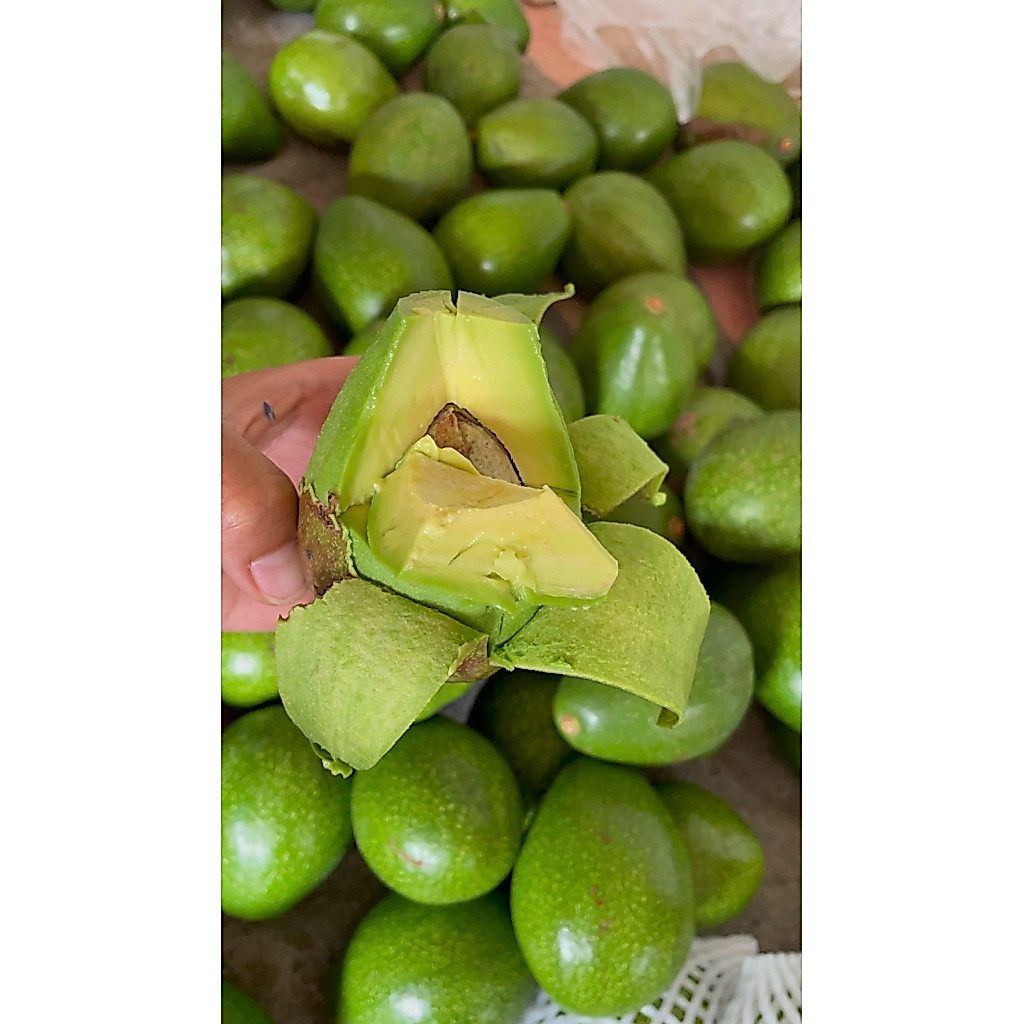 อโวคาโด้พื้นเมืองไทยไซร์เล็ก 3kg. ไม่รวมกล่อง 149฿