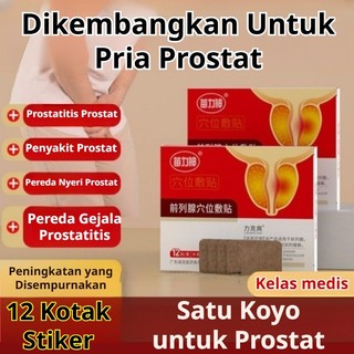 Patch Prostat/Patch titik akupuntur/Patch Kesehatan Ginjal Cynomorium Songaricum Meredakan Sering Buang Air Kecil dan Urgensi / Straighttoprostate patch / Koyo Perawatan Pria