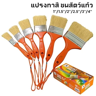 MUSCLE COW (ยกกล่อง 12 ชิ้น) แปรงทาวานิช แปรง แปรงบาร์บีคิว แปรงทายูรีเทน แปรงขนอ่อน ขนาด 1 / 1.5 / 2 / 2.5 / 3 / 4 นิ้ว
