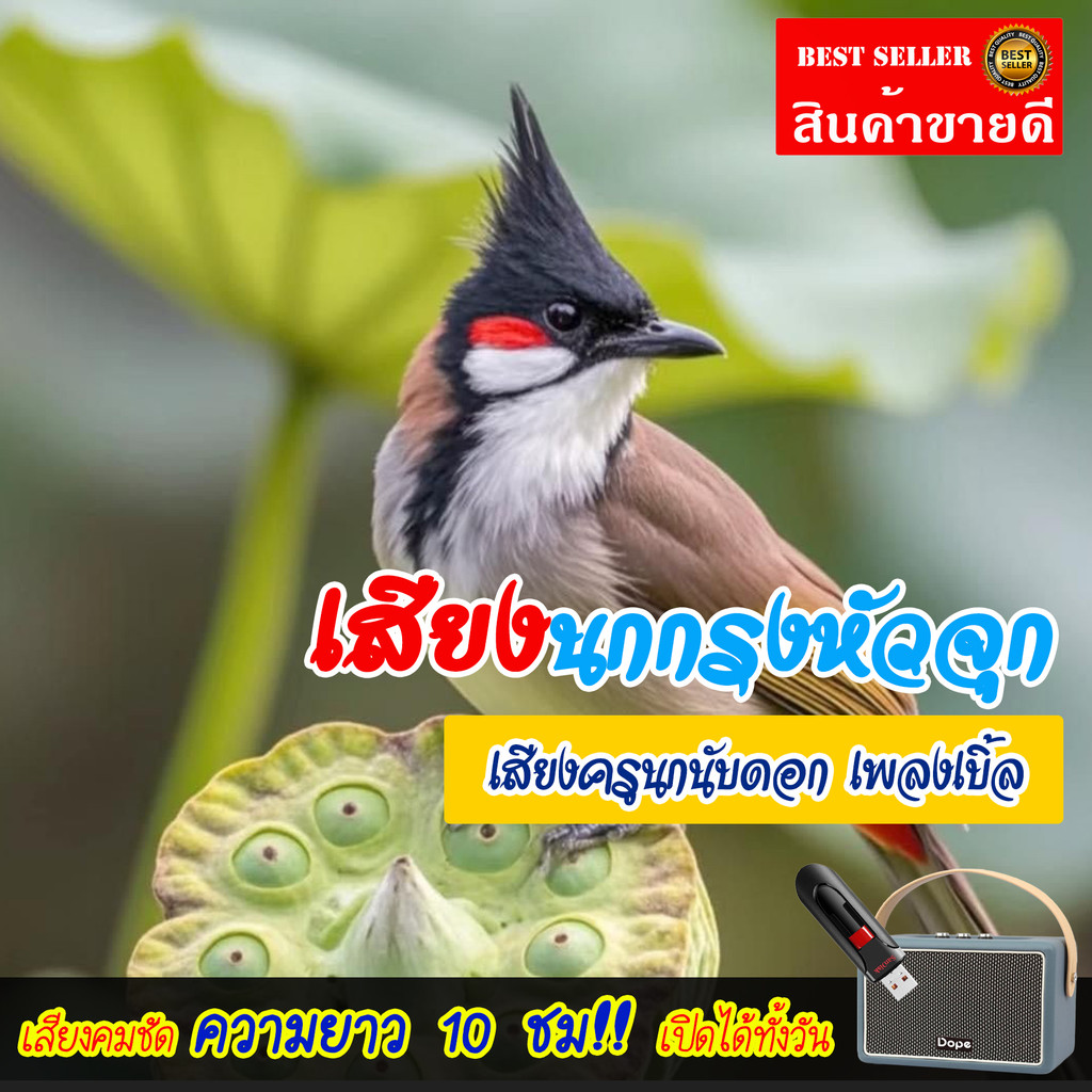 เสียงนกกรงหัวจุก (ชุดที่ 43) เสียงครูนกนับดอก เพลงเบิ้ล mp3 แฟลชไดร์ฟ USB เสียงนกแท้ เสียงดังฟังชัด100%
