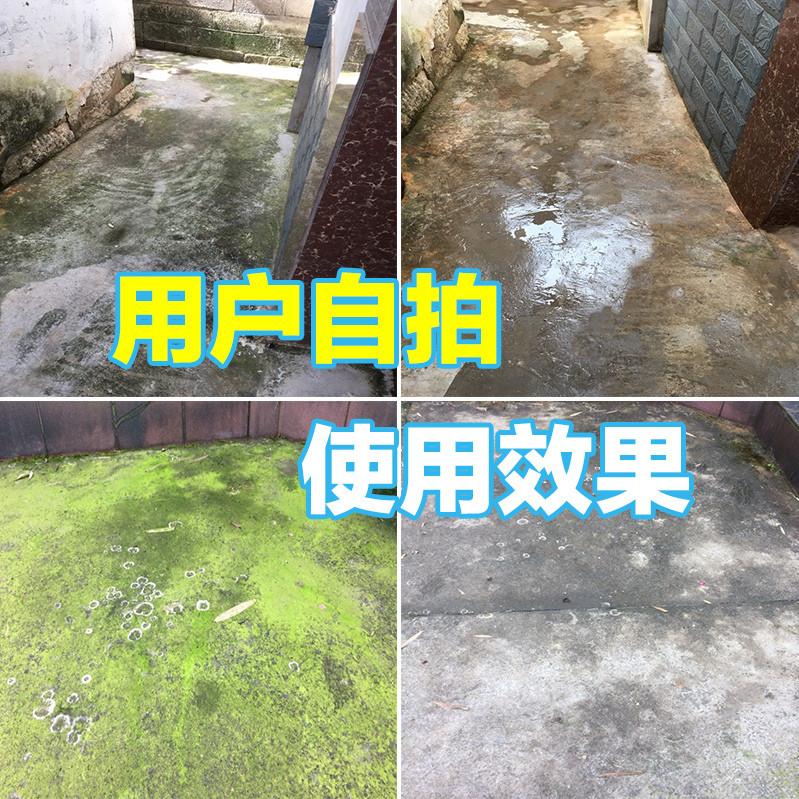 Moss Remover Cement Ground Dedicated Moss Buster Handy Tool Wall Moss Algae Moss Remover