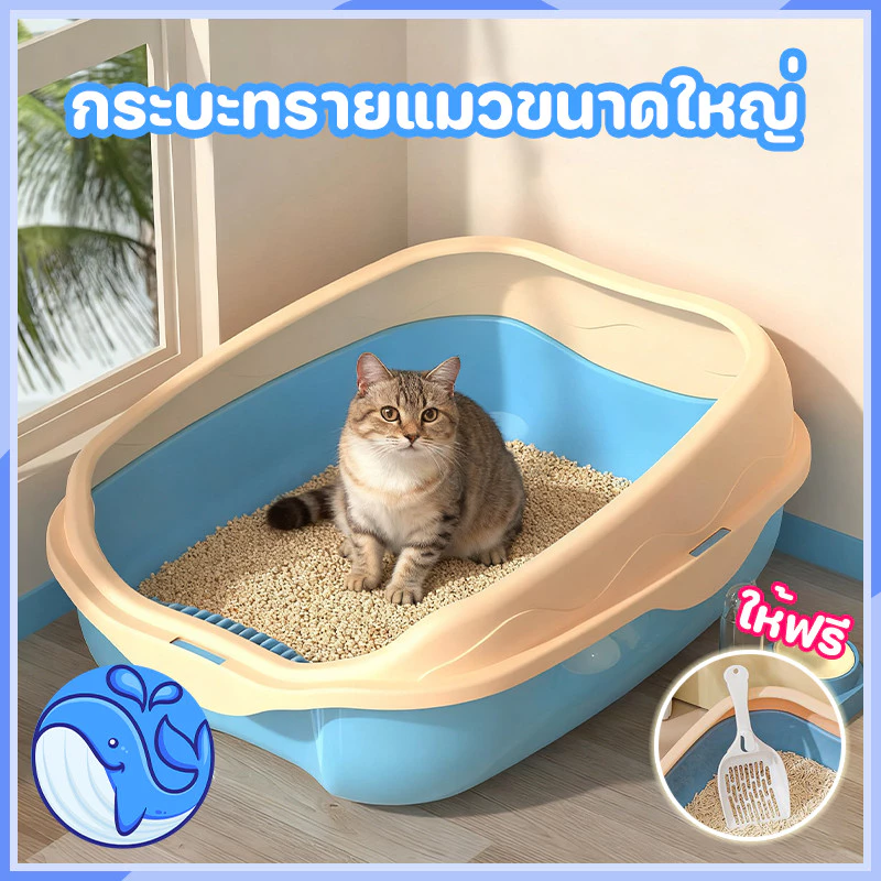 กระบะทรายแมวขอบสูง พร้อมที่ตักทราย ห้องน้ำแมว ห้องน้ำแมว พร้อมที่ตัก มีตะแกรงดักทราย รุ่นขอบสูง
