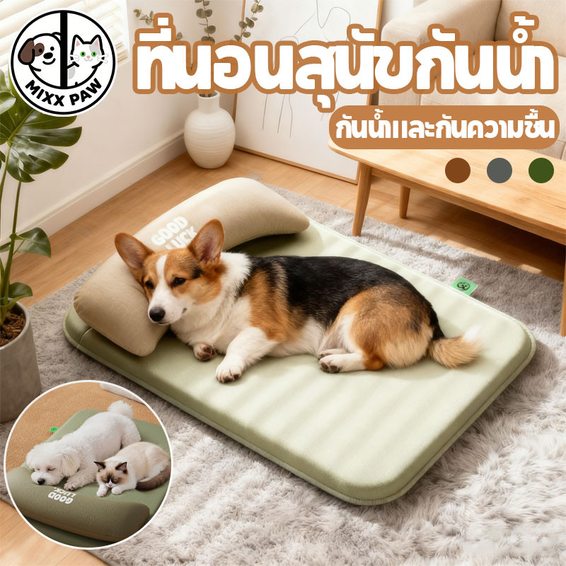 ที่นอนสุนัขกันน้ำ เบาะแมว ที่นอนหมา รุ่นกันน้ำกันรา พร้อมหมอน ทำจากเมมโมรี่โฟม ระบายอากาศได้