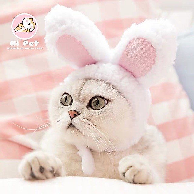 พร้อมส่งจากไทย Pet headgear หูกระต่าย #หูสั้น หมวกแมวและสุนัขที่มีหูกระต่าย[HA01]