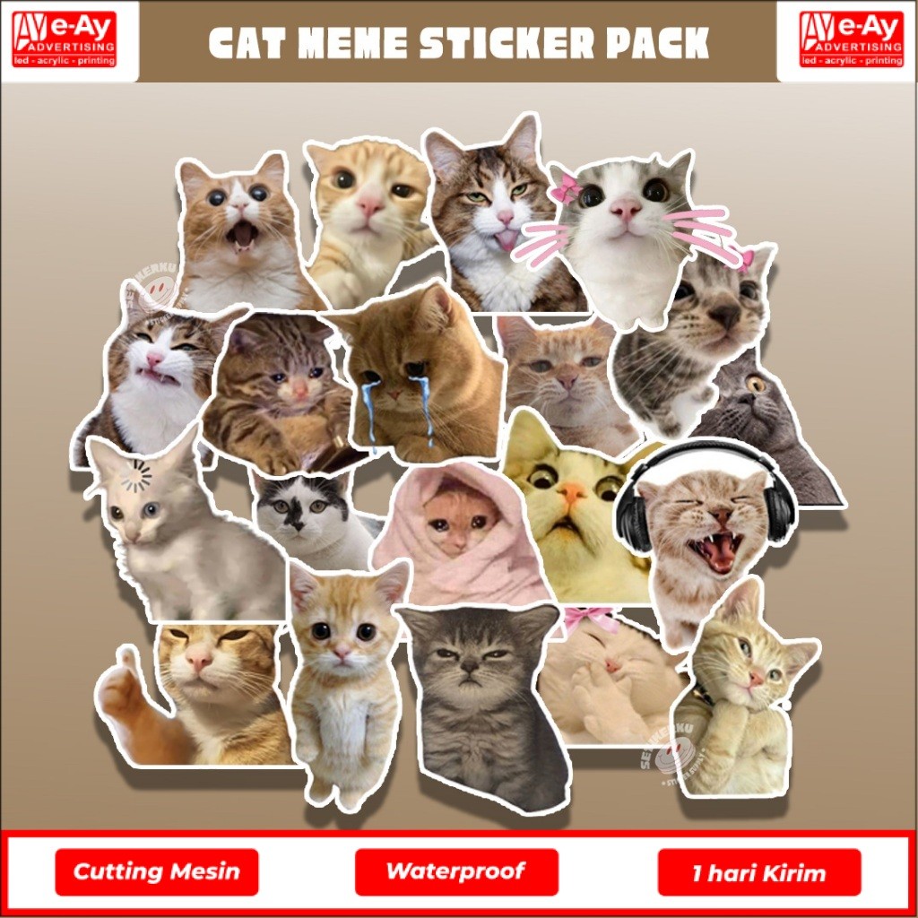 แพ็คสติ๊กเกอร์ CAT MEME 20 ชิ้น | สติ๊กเกอร์สี Aesthetic meme - เรียงความ