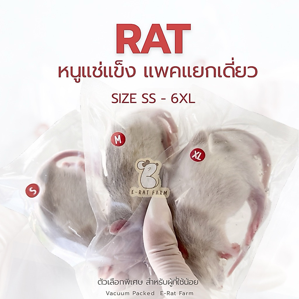 หนูแช่แข็ง RAT 🐀Size ss-4XL แพคเดี่ยว | E-Rat Farm อาหารงูขายมานาน7 ปี