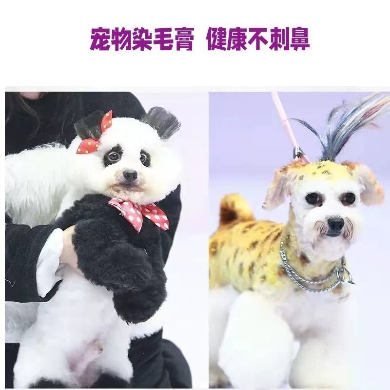 พร้อมสต็อกขายร้อนสัตว์เลี้ยงย้อมผมสุนัขครีมย้อมผมBet Esby Dodoนําเข้าDone Pomeranian Bichon Poodle 1