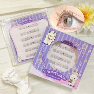 【ไม่ต้องใช้กาว】ขนตาปลอมแบบแยก簇 240 簇 สีน้ำตาลปลายหาง ธรรมชาติ ดูใส ติดเองไม่ต้องใช้กาว ใช้ได้หลายครั้ง เหมาะสำหรับมือใหม่และคอสเพลย์ พร้อมส่ง