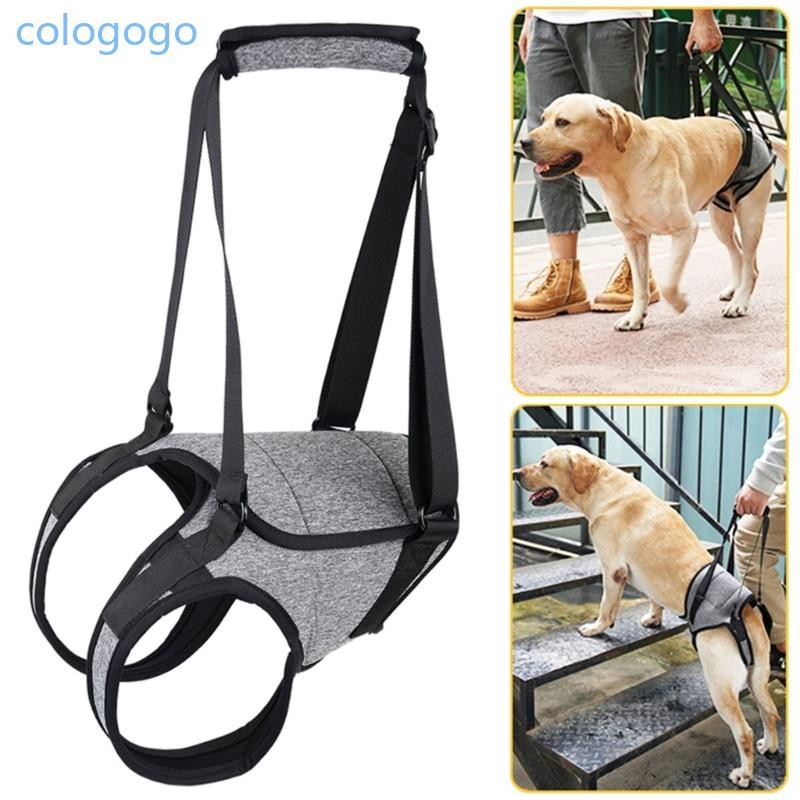 COLO สลิงสุนัขสําหรับขาหลังรองรับสายรัดยกสุนัขแบบปรับได้สายรัดพยุงหลังสําหรับลูกสุนัขการบาดเจ็บร่วม 