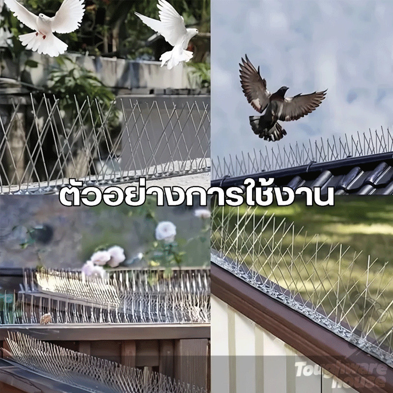 Thumbnail 9