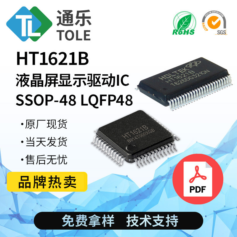 HT1621B HT1621 SSOP-48 ไดรฟ์ LCD IC TM1621