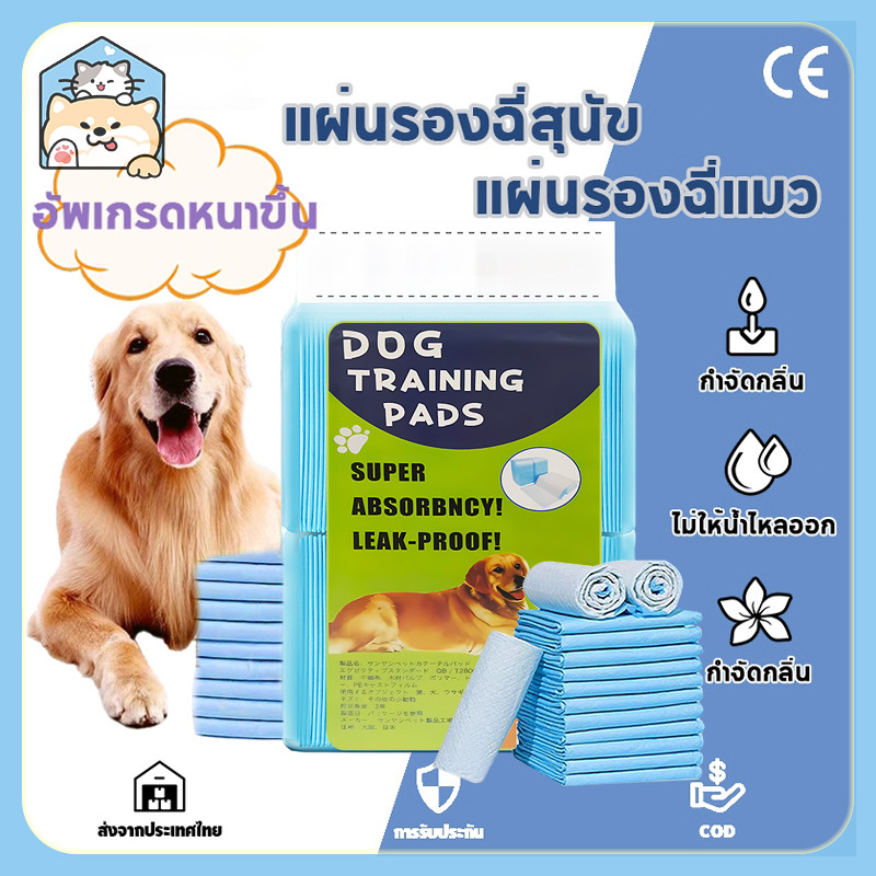 【COD】แผ่นรองฉี่สุนัข ซึมซับไดีดี ต่อต้านแบคทีเรีย แผ่นรองฉี่ ผ้ารองฉี่สุนัข แผ่นรองฉี่แมว แผ่นรองซับ ทรายแมว