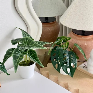 [พร้อมส่ง] Jnihouse : ต้นไม้ประดิษฐ์เล็กกระถางขาว พลูฉลุ อโลคาเซีย (Artificial Tree)(SW001)