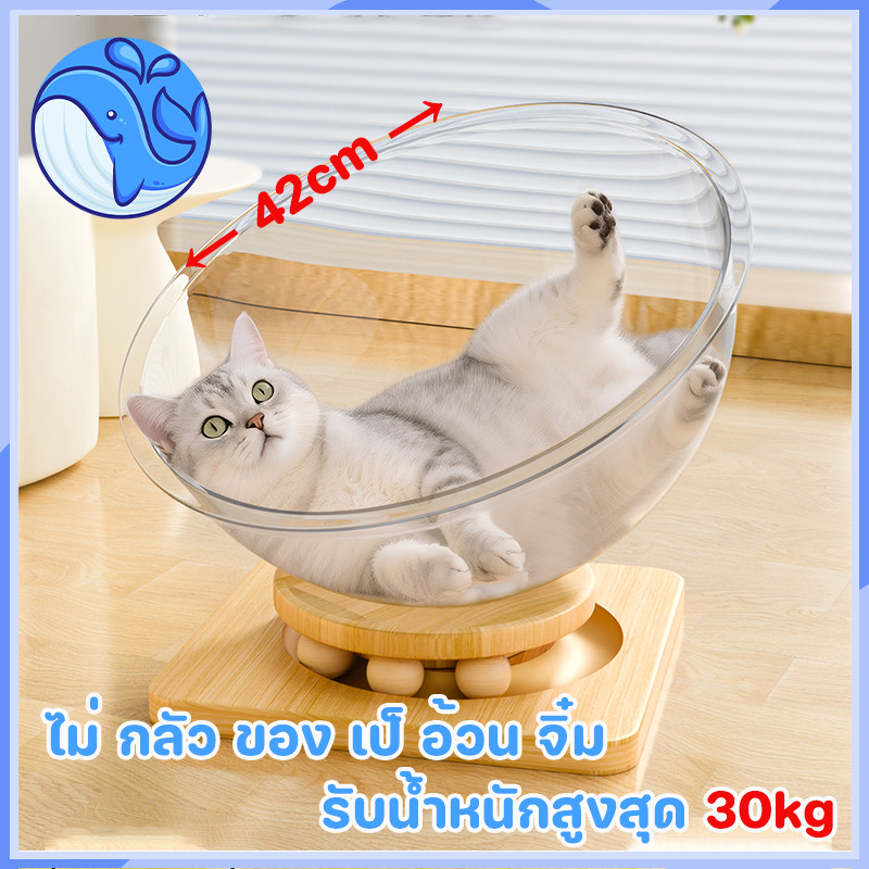 หลุมอวกาศ ที่นอนแมว ที่ลับเล็บแมว คอนโดแมว ลับเล็บแมว บ้านแมว โดมอะคริลิคแมว 4in1 คอนโดแมวอวกาศ 42cm