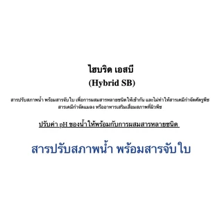 ไฮบริด เอสบี ขนาด 1 ลิตร│เทพวัฒนา ตราปลาคู่│ธาตุอาหารเสริมพืช ฮอร์โมนพืช (สารปรับสภาพน้ำ ยาจับใบ สารจับใบ)