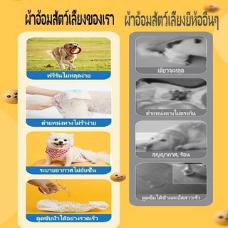 พร้อมส่ง✅🐱ผ้าอ้อมสัตว์เลี้ยง ผ้าอนามัยสุนัข หมาตัวผู้/หมาตัวเมีย ผ้าอ้อมน้องหมา ผ้าอ้อมแมว 12pcs