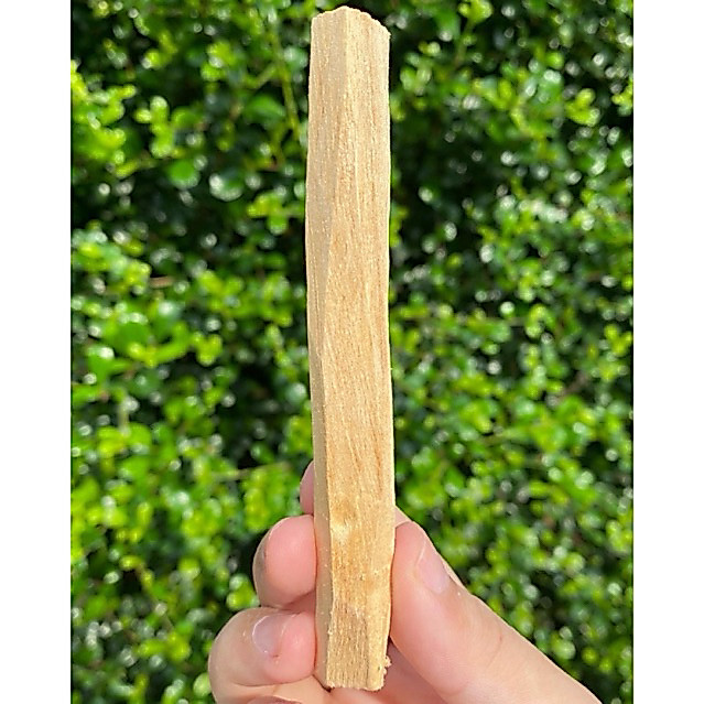 ‼️พร้อมส่ง🇹🇭‼️Palo santo พาโล ซานโต หรือ “ไม้ศักดิ์สิทธิ์” เป็นไม้หอม ใช้สำหรับชำระพลังงานไม่ดีในหิน ตัวเรา วัตถุสถานที่