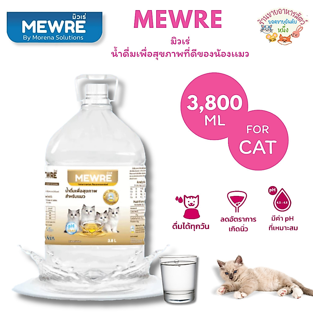 MEWRE มิวเร่ น้ำดื่มเพื่อสุขภาพที่ดีของน้องเเมว ขนาด 3,800 ML ผสานเทคโนโลยี NANOSS