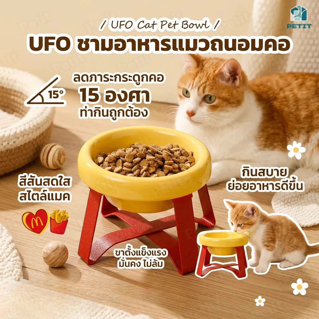 ชามอาหารสัตว์ พร้อมขาตั้ง ทรงสูง ช่วยป้องกันกระดูกสันหลัง กินสบาย สำหรับสุนัขและแมว