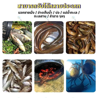 ตาข่ายดักปลา มุ้งดักปลา ที่ดักกุ้ง กระชังดักปลา ลอบดักปลา พับเก็บได้ ส่งเหยื่อ