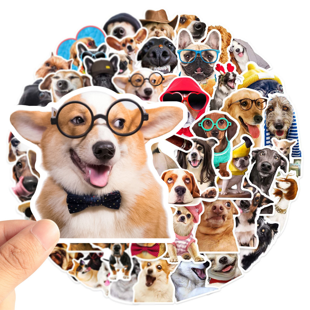 Stickers สัตว์น่ารัก กันน้ำ แพ็ค 50 ชิ้น ไม่ซ้ำ สำหรับโทรศัพท์/แล็ปท็อป/กระเป๋า/ไมโครสปอร์ต/โน๊ตบุ๊ค